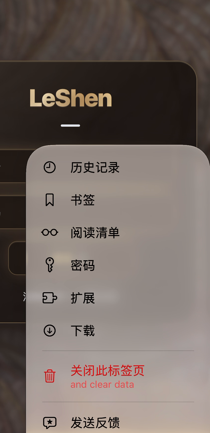 iPhone Orion 菜单中的扩展入口